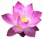 Makara Silk Logo